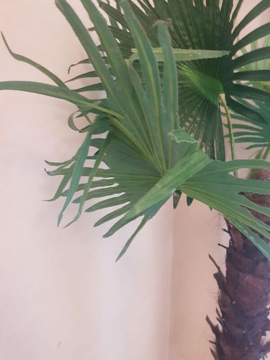Artificial Palm Tree