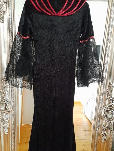 Ladies Halloween costume