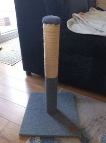 cat scratching post