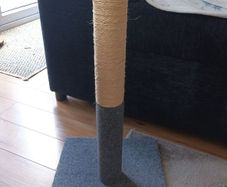 cat scratching post