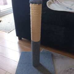 cat scratching post
