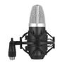 Professional USB Studio Condenser Microphone, incl Shock Mount Image 2