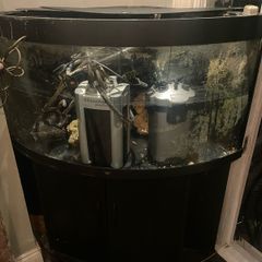 Juwel Trigon 350 Aquarium With two filters