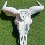 skull head Image 3