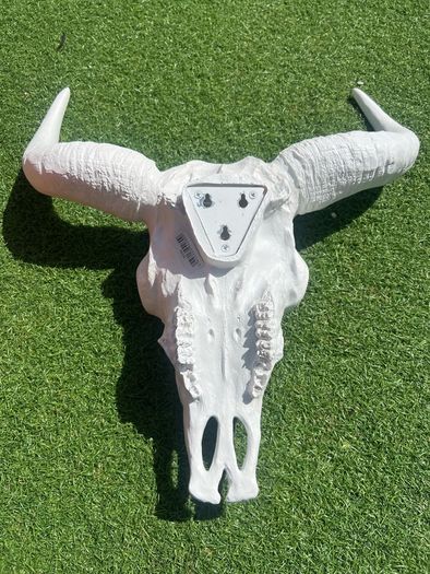 skull head