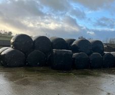 Bales of silage