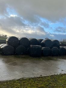Bales of silage