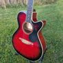 SX EAG1K Eletro-Acoustic Guitar Image 6