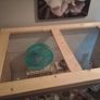 hamster enclosure Image 5