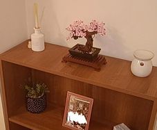 Book case