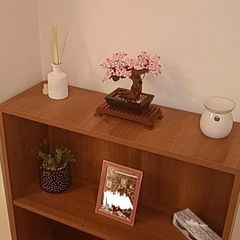 Book case