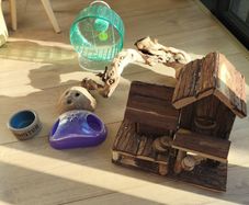 hamster's toys for free