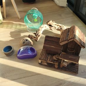 hamster's toys for free