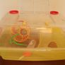 2 level cage | enclosure with accessories | small pets house | mice Image 4