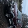Toyota Land Cruiser Image 7
