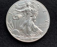 2016 American 1 oz Silver Eagle