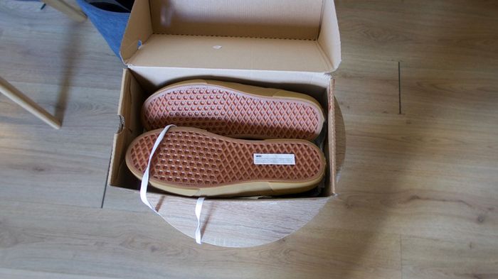 Vans Skate Shoes