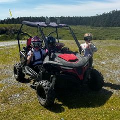 Buggy
