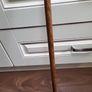 Walking stick Image 6