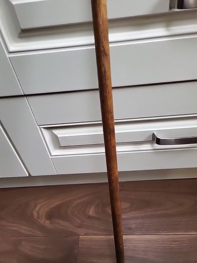 Walking stick