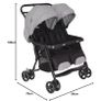 Double Buggy Image 3