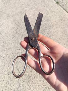 Mid Nineteenth Century Tailoring Shears