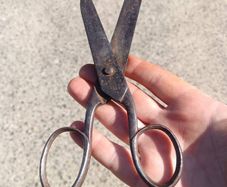 Mid Nineteenth Century Tailoring Shears