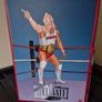 WWE Hulk Hogan vs Terry Funk Mattel Coliseum Collection Figures Image 5