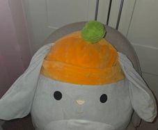 soft toys