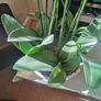 orchid. flower Image 7
