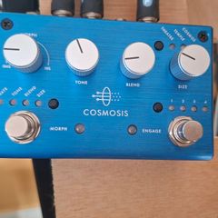 Pigtronix Cosmosis Stereo Ambient Morphing Reverb Pedal Excellent Condition