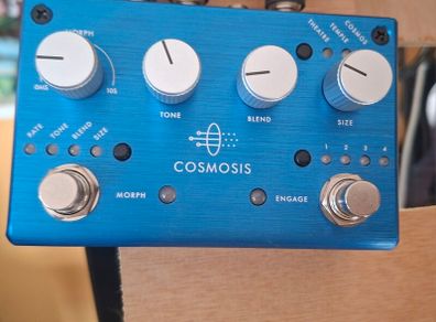 Pigtronix Cosmosis Stereo Ambient Morphing Reverb Pedal Excellent Condition