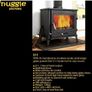 Cast Iron Stove Image 2