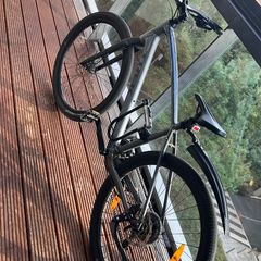Trek Dual Sport 2 Hybrid Bike (Large) + U-Lock, Lights, Mudguards - Commuter Ready