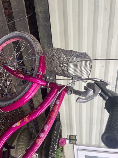 Beautiful 20 inc girls bike