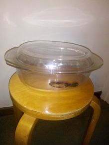 Large Pyrex Oval casserole 6L