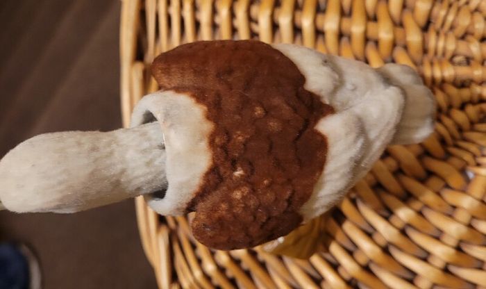 bird ornament