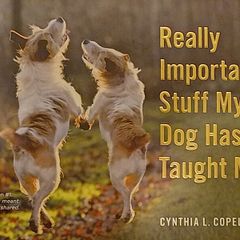 Really Important Stuff My Dog Has Taught Me