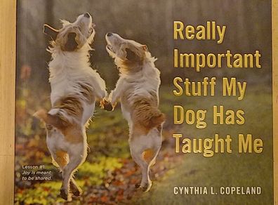 Really Important Stuff My Dog Has Taught Me