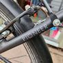 Raleigh Pioneer 2 Hybrid Image 2