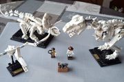 Lego Ideas Dinosaur Fossils Set #21320
