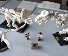 Lego Ideas Dinosaur Fossils Set #21320