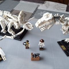 Lego Ideas Dinosaur Fossils Set #21320