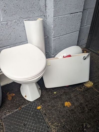 Cloakroom sink and toilet free