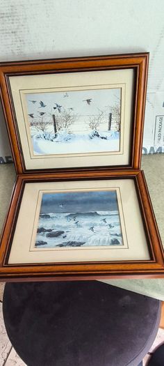 Set of 2 framed prints by Julian Friers is a renowned Irish wildlife painter