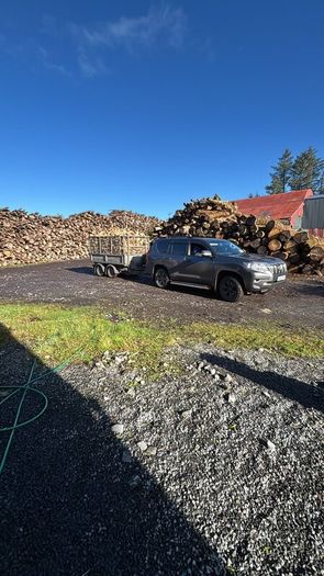 Firewood Kiln dried Beech and Ash.