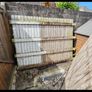10 free fence panels and some posts Image 2