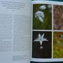 Ten thousand years deep (book) Image 4