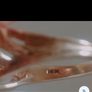 Jade & diamond 14 ct gold ring Image 10