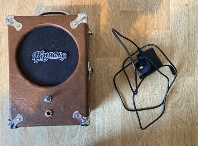 Pignose amp